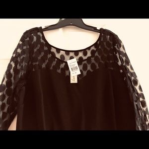 The perfect little black dress